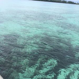 Meet your Posher, Lucy